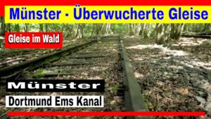 Münster – Überwucherte Gleise im Wald